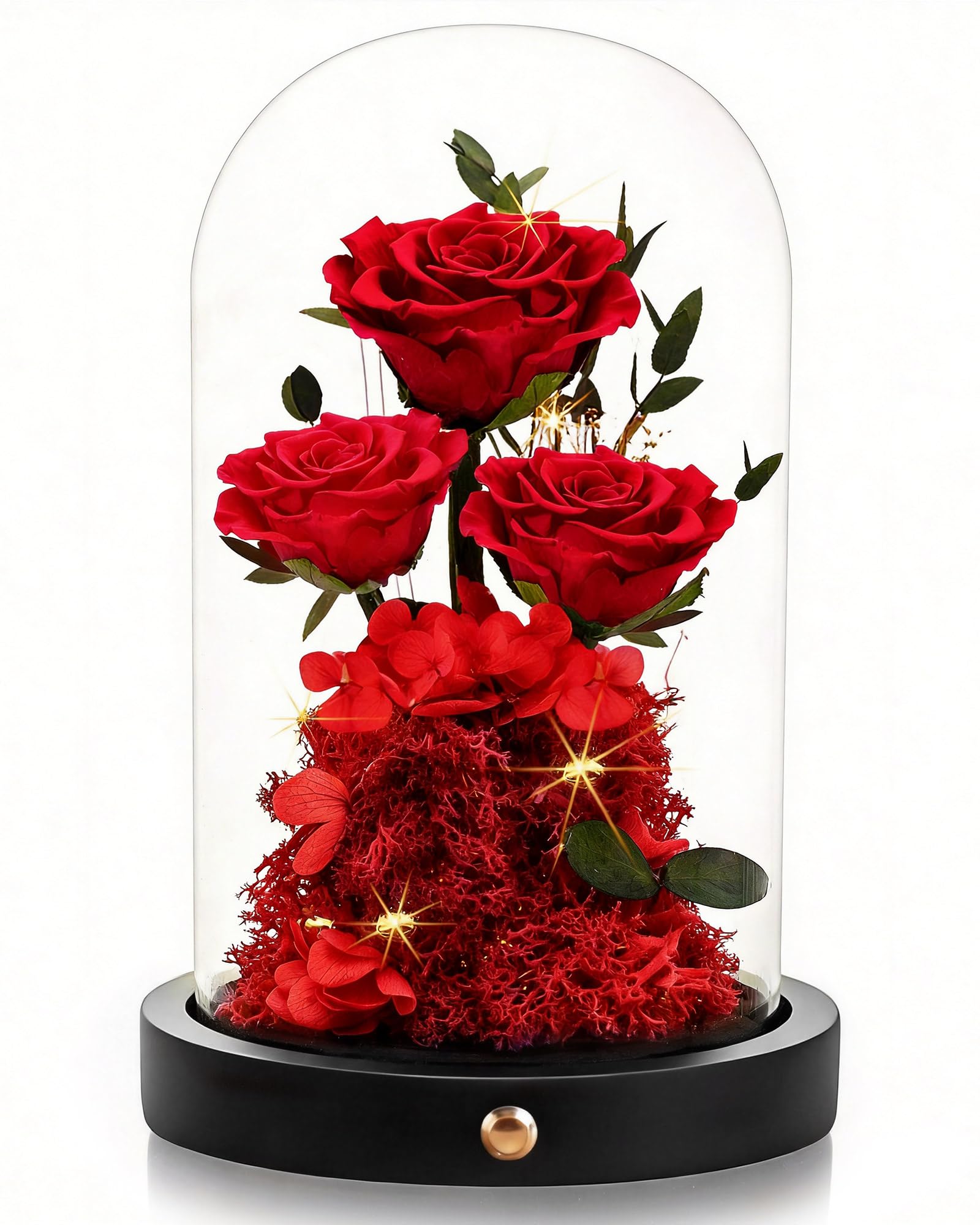Agrul front view glass dome displaying a red preserved rose, elegant decor