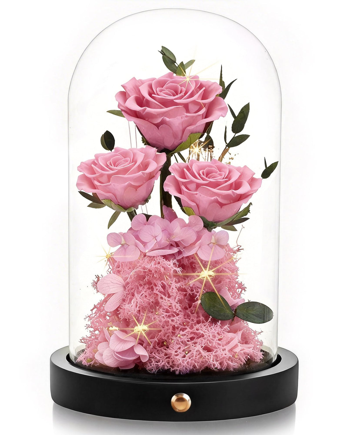 Agrul front view of glass dome showcasing preserved pink rose keepsake