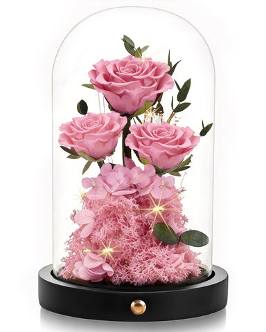 Agrul front view of glass dome showcasing preserved pink rose keepsake