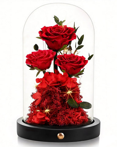 Agrul front view glass dome displaying a red preserved rose, elegant decor