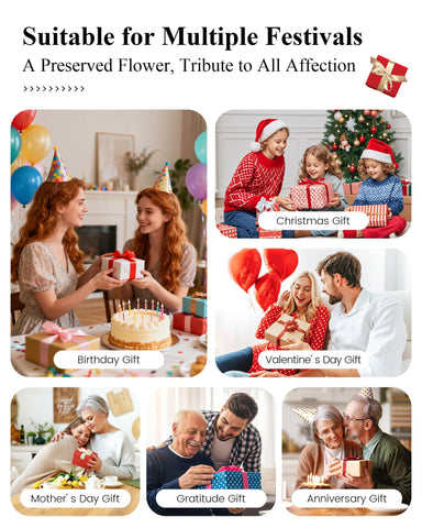 Agrul gift-ready packaging presenting the rose as a polished present