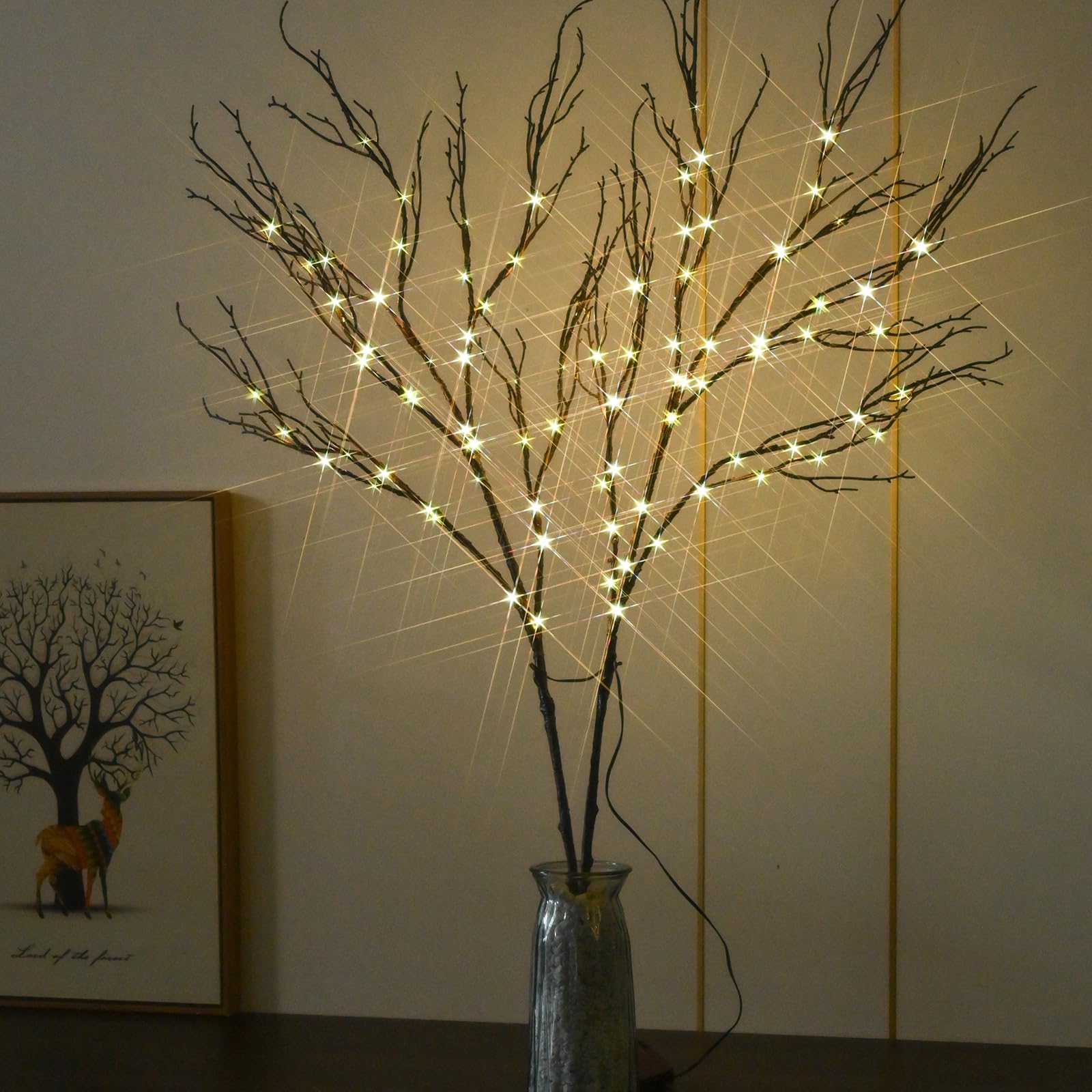 Alaiselit branches arranged in a tall vase showing decorative impact and styling ideas