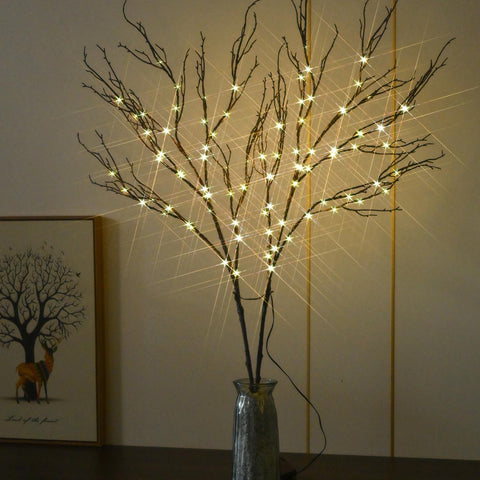 Alaiselit branches arranged in a tall vase showing decorative impact and styling ideas