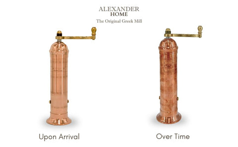 Alexander Home mill next to a ruler showing 9-inch size and compact-storage benefit