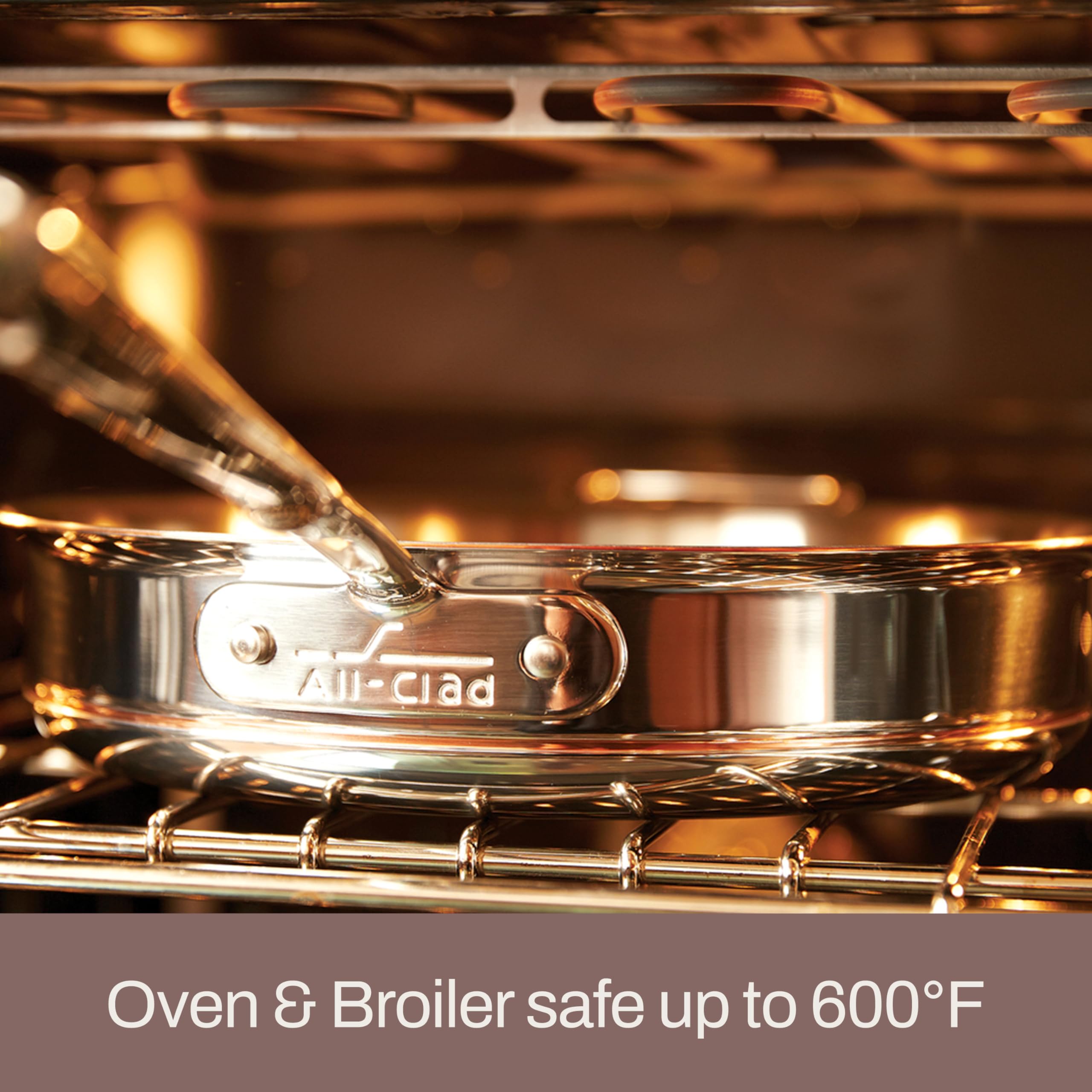 All-Clad pan searing salmon on stovetop illustrating even browning and precision temperature control