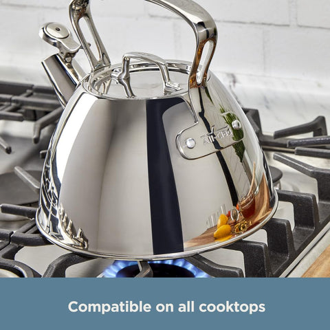 All‑Clad kettle on induction cooktop demonstrating compatibility and fast heat