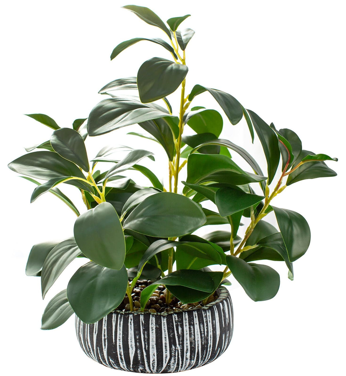 AlphaAcc front view showing lifelike fiddle leaf fig and balanced decor benefit