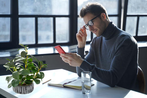 AlphaAcc placed on desk demonstrating no-maintenance greenery benefit