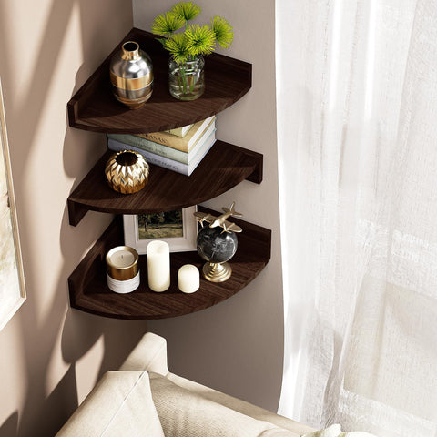 Alsonerbay shelves holding plants and photos for practical display