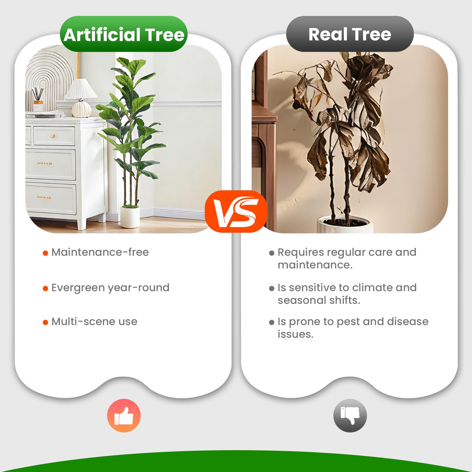 Alupssuc styled in a living room to add greenery and soften the space benefit