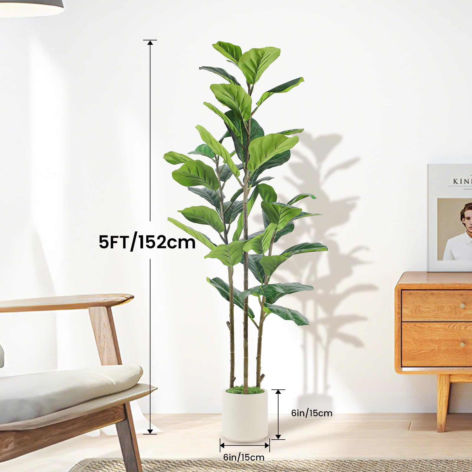 Alupssuc close-up of fiddle leaf fig leaf texture and realistic veining benefit
