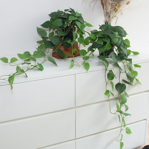 alyptus front view of potted faux pothos showing natural look and styling benefit