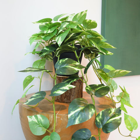 alyptus grouped with other faux plants creating fuller layered effect
