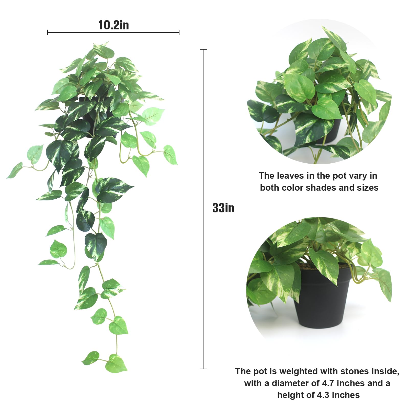 alyptus vine draped over shelf adding instant greenery benefit