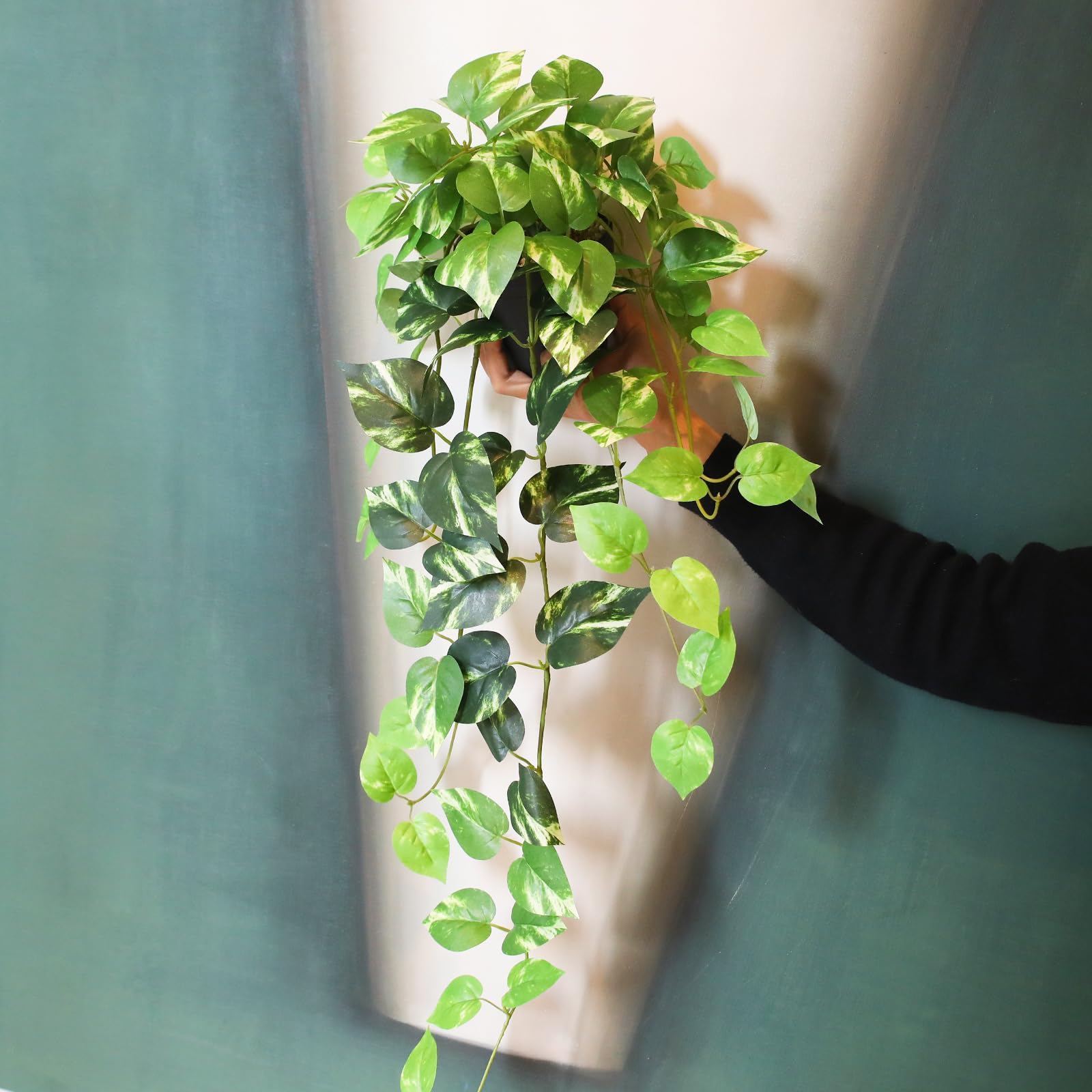 alyptus in office setting delivering low-maintenance plant style