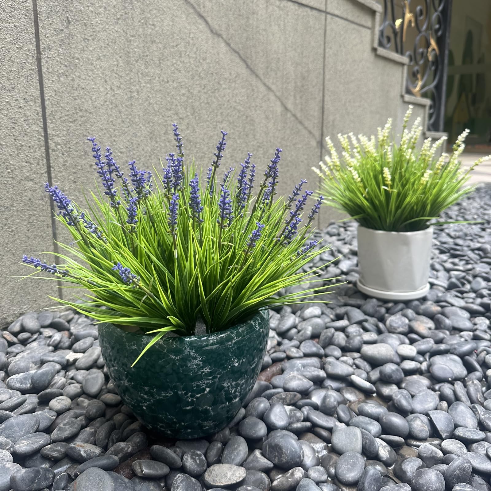 alyptus planter display with dense purple blooms enhancing curb appeal