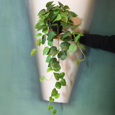alyptus removable leaf being detached for cleaning and convenience benefit