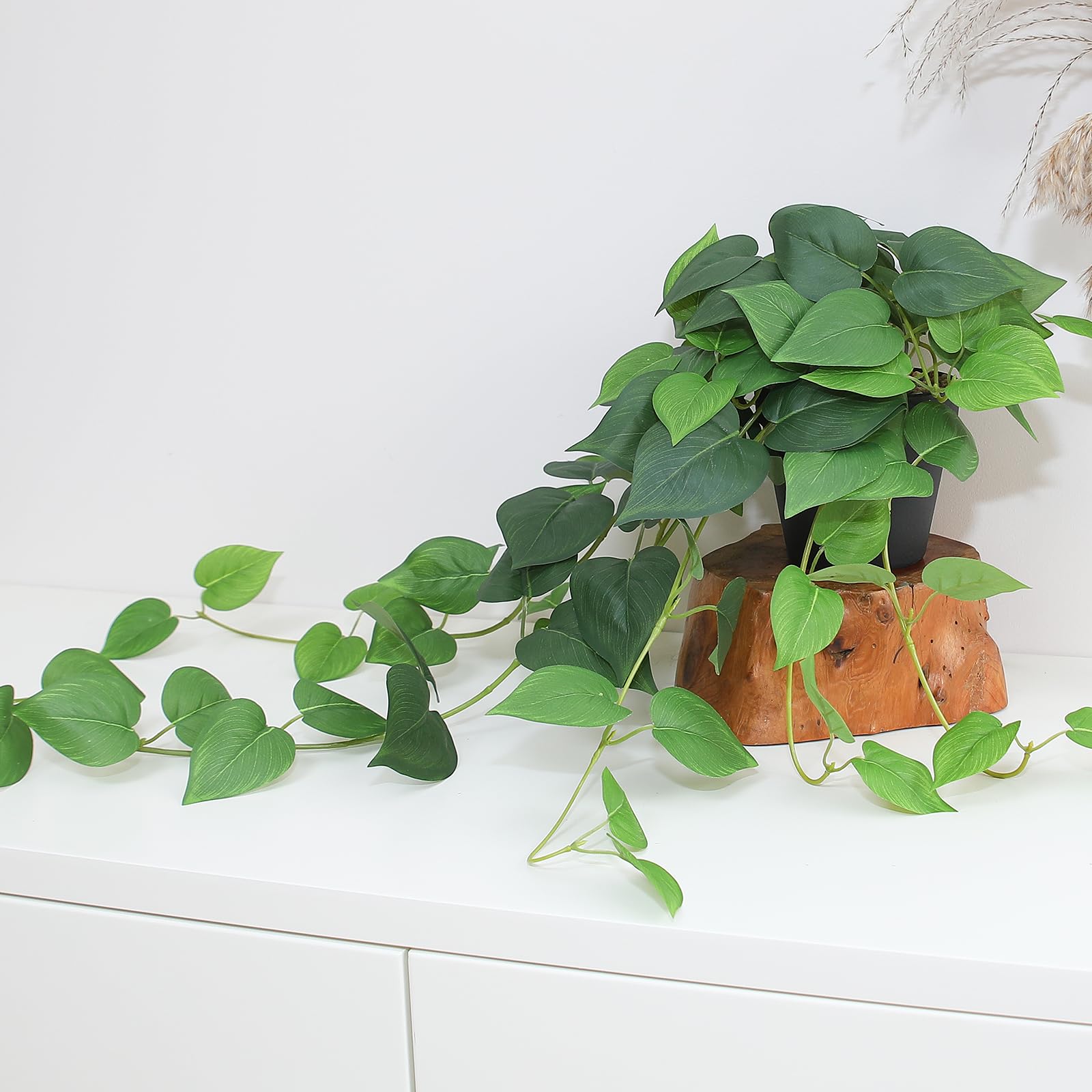 alyptus on shelf with books showing compact decorative placement benefit