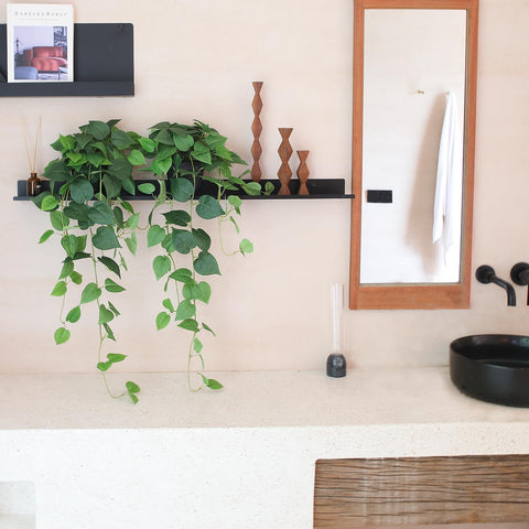 alyptus next to coffee mug displaying 33-inch scale and space-saving benefit