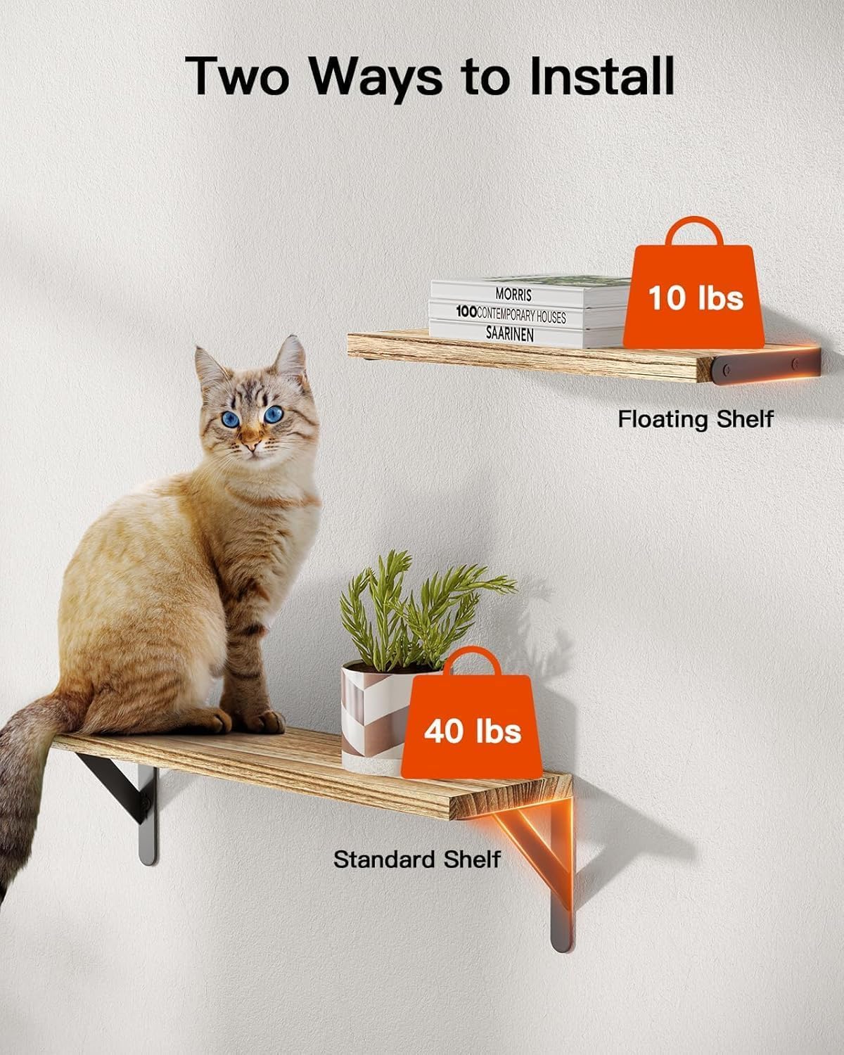 AMADA HOMEFURNISHING shelves side-by-side size comparison, clarifies large medium small proportions