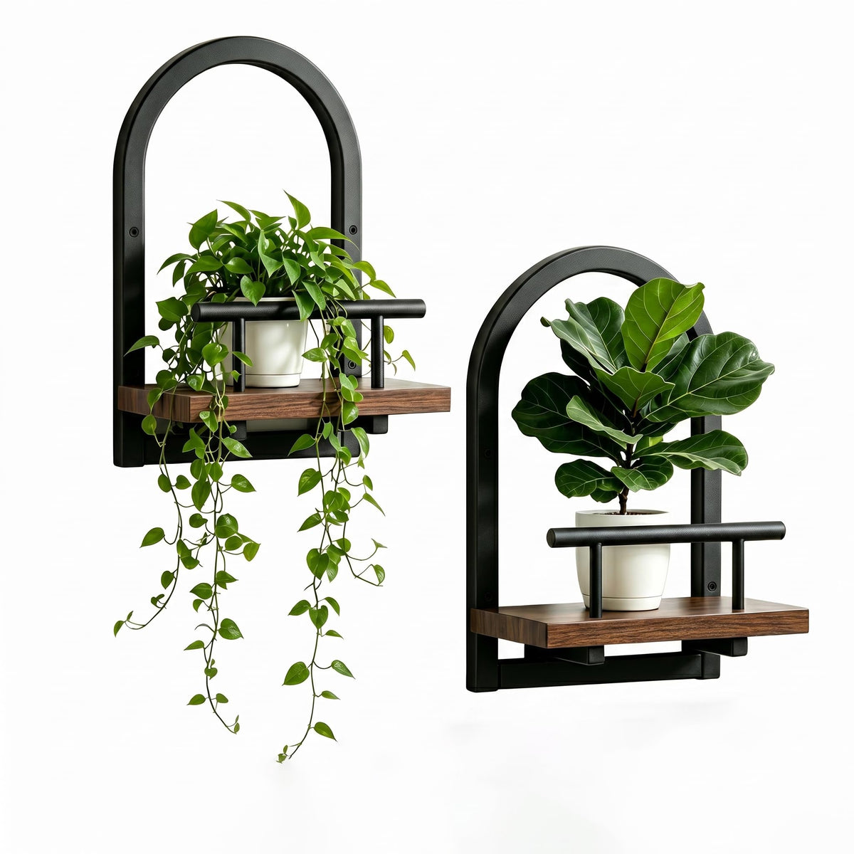 Amaoot front view of floating shelves displaying plants and decor, adds greenery