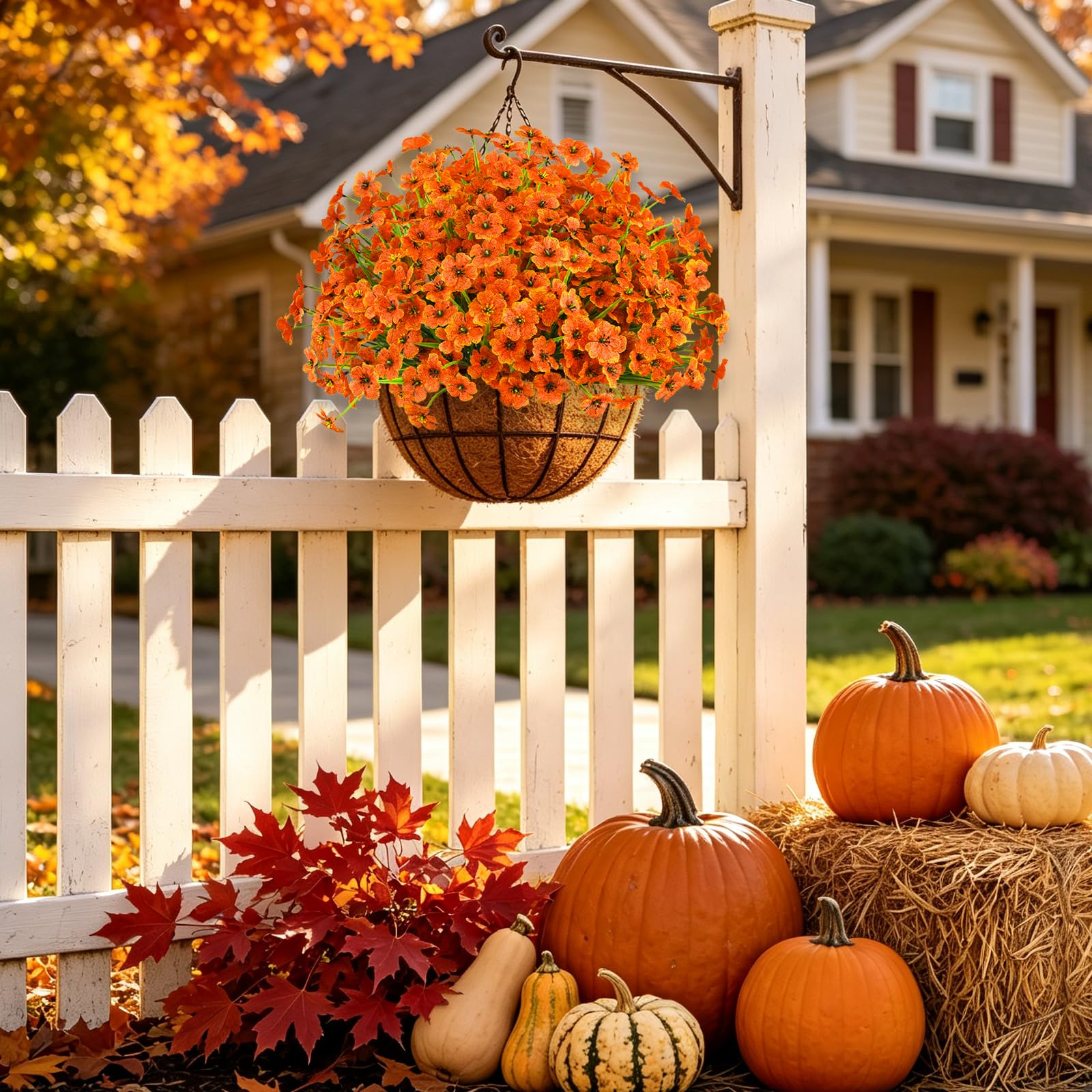 AmberFun mums arranged in a pumpkin on a porch giving instant autumn curb appeal