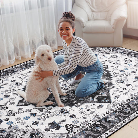 Amearea rug next to sofa showing 4x6 scale for room placement