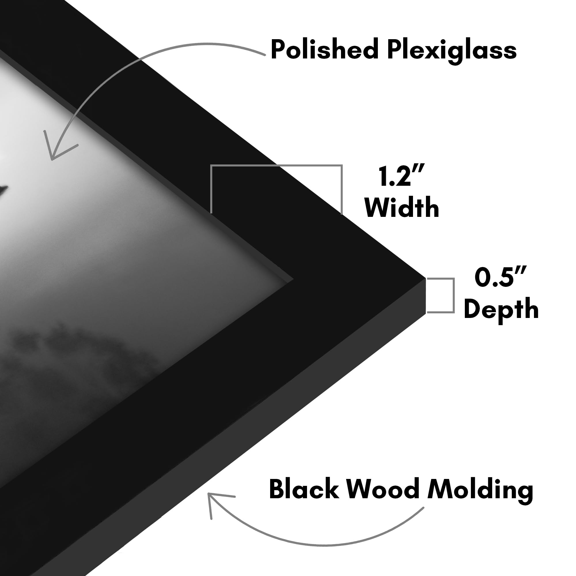 Americanflat plexiglass close-up showing clear view and scratch resistance benefit