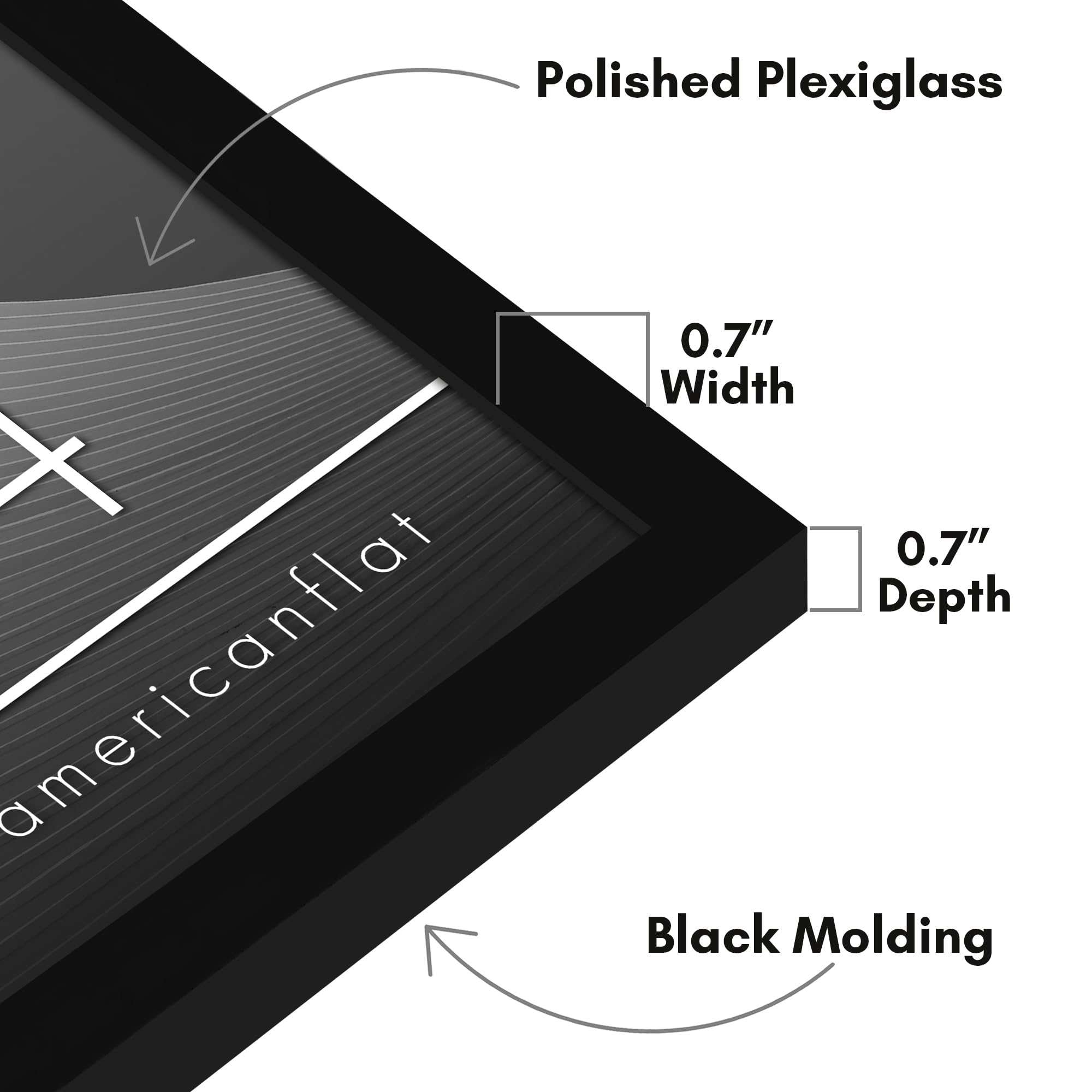 Americanflat plexiglass close-up demonstrating clear protection and crisp detail