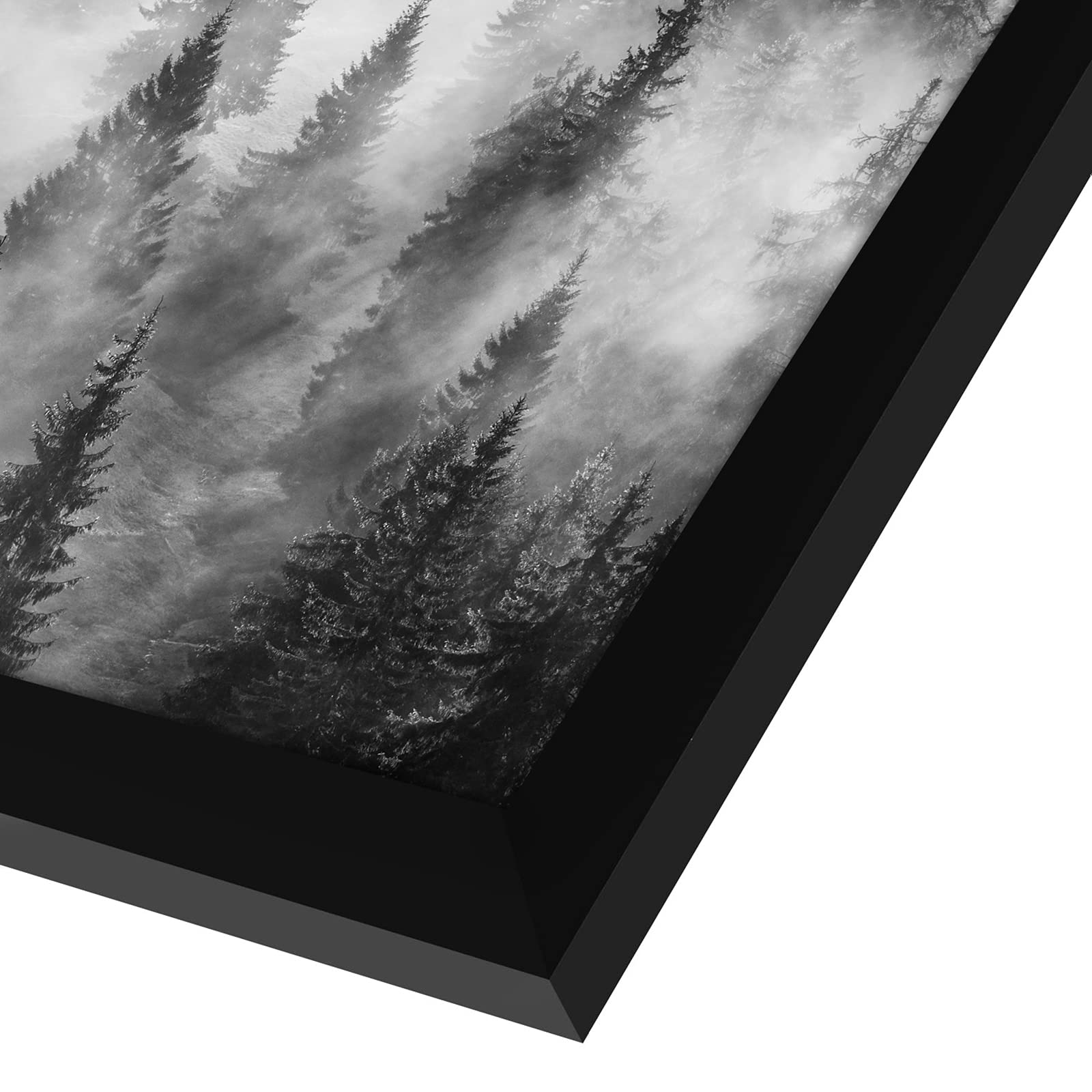 Americanflat plexiglass close-up showing clear view and scratch-resistant protection