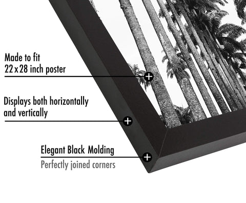 Americanflat plexiglass detail showing clear glazing and lightweight protection benefit