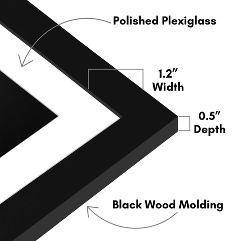 Americanflat plexiglass close-up showing clear view and protective benefit