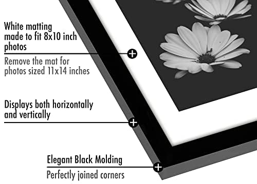 Americanflat plexiglass closeup showing clear protective front benefit: scratch-resistant clarity