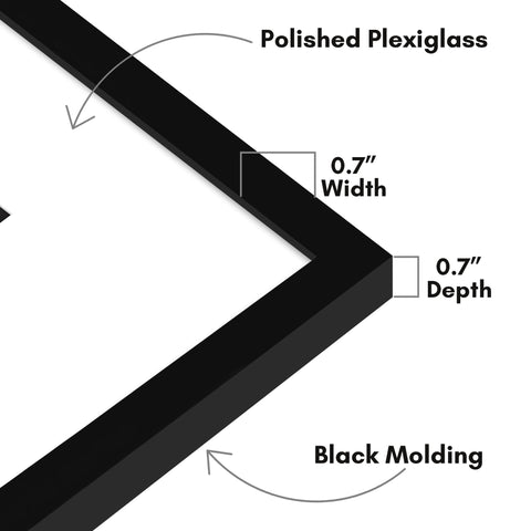 Americanflat polished plexiglass detail offering clear view and scratch protection benefit