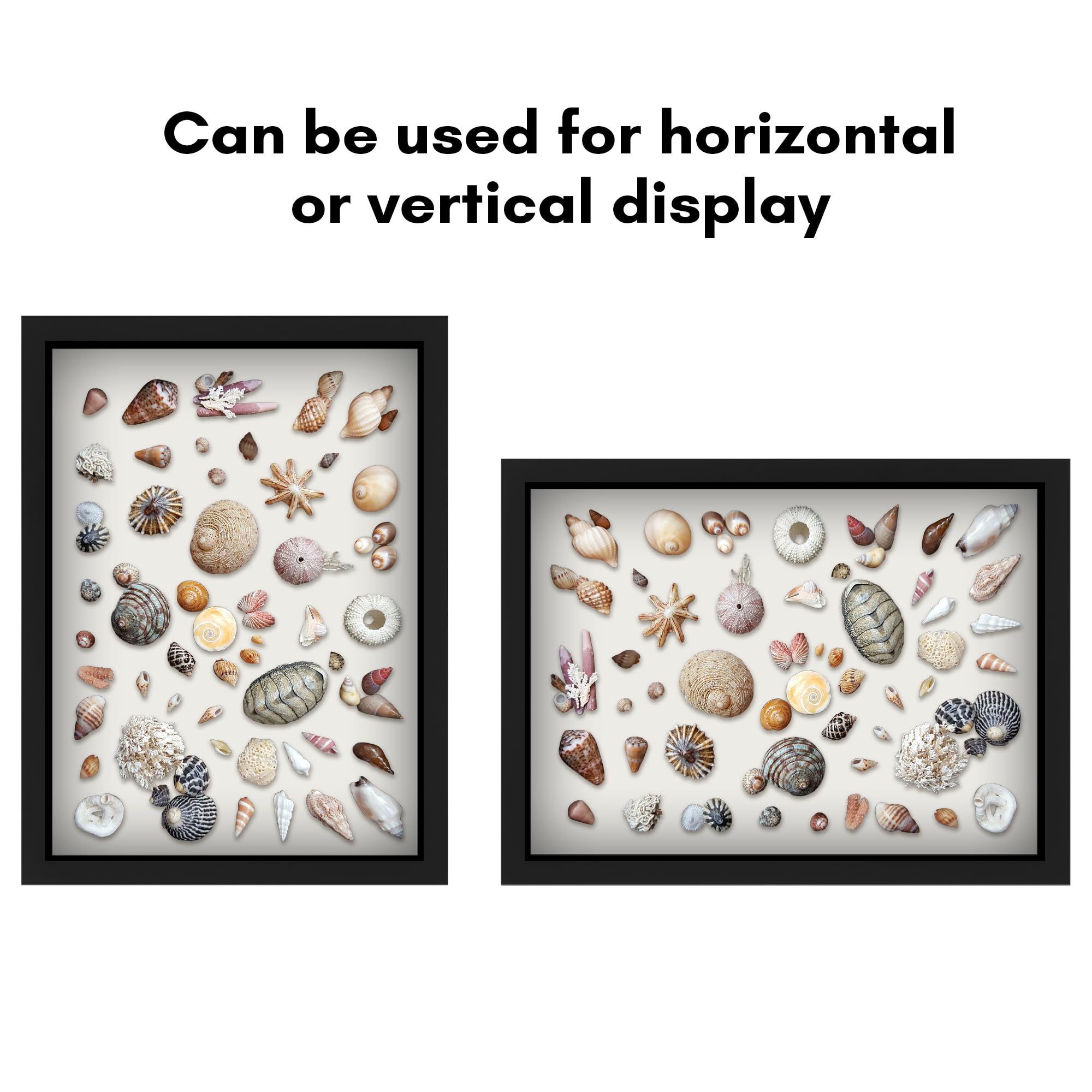 Americanflat used to display a medal showing secure mounting and presentation benefit