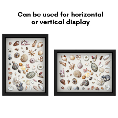 Americanflat used to display a medal showing secure mounting and presentation benefit