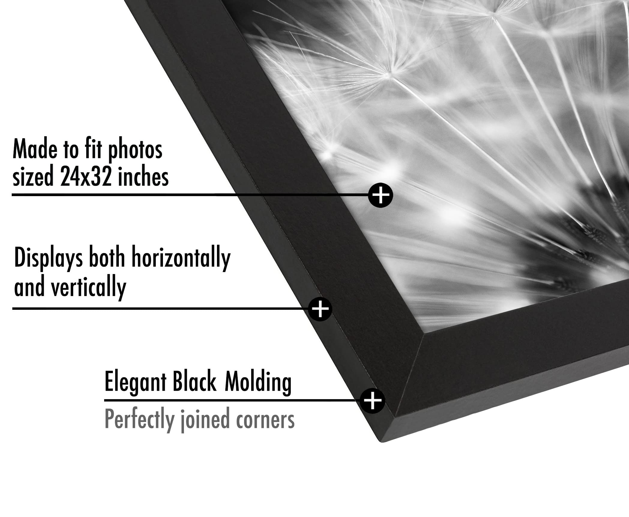 Americanflat wide molding profile displaying frame depth and gallery-style presence benefit
