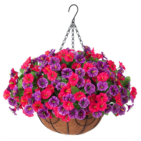 Ammyoo front view hanging basket showing full floral display and curb appeal