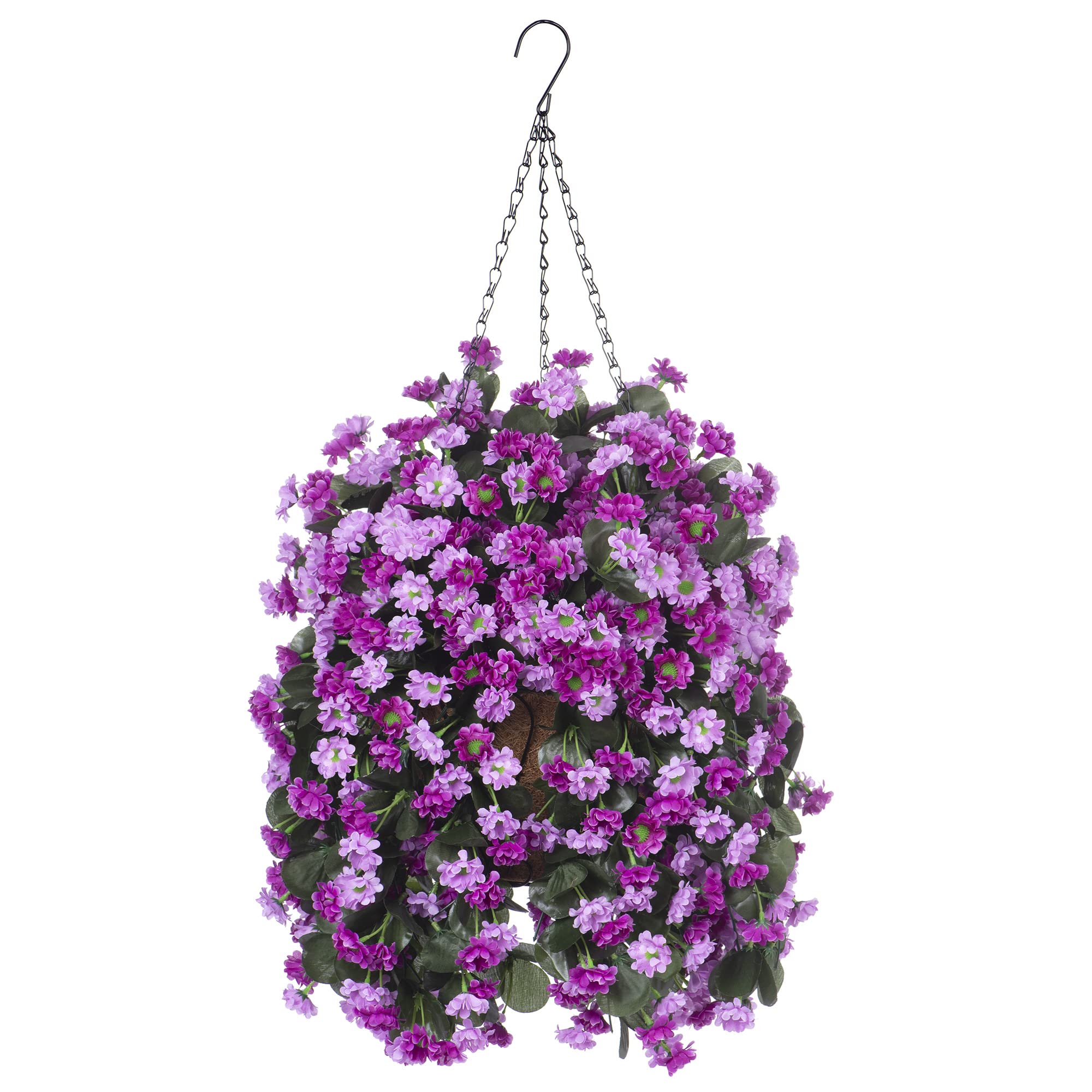 Ammyoo front view of hanging basket showing full floral display and curb appeal