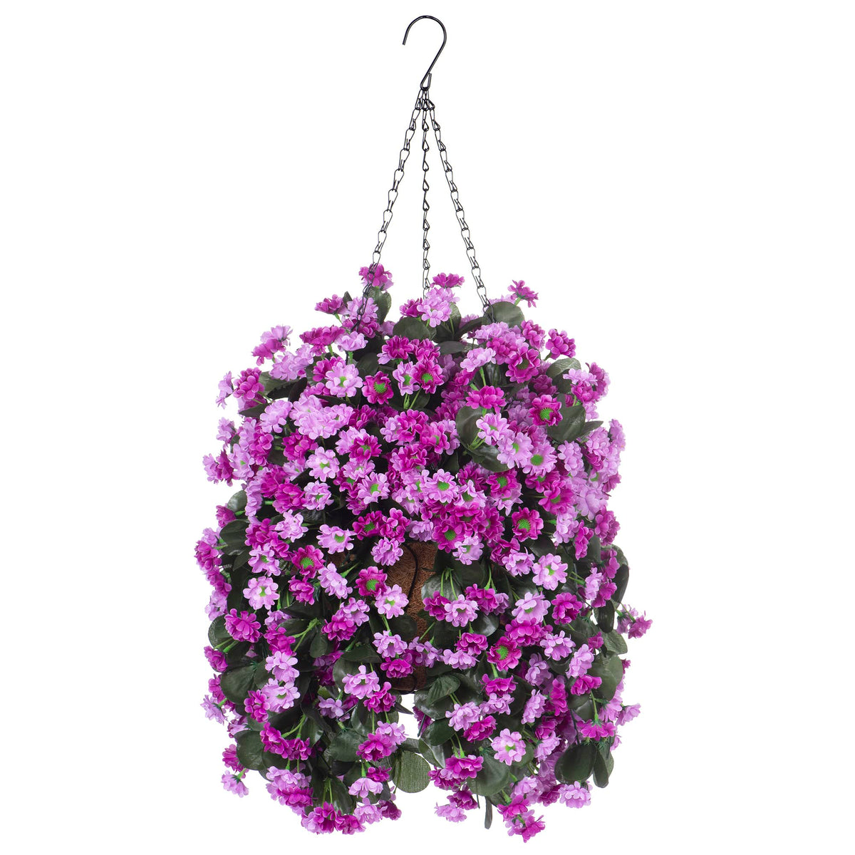 Ammyoo front view of hanging basket showing full floral display and curb appeal