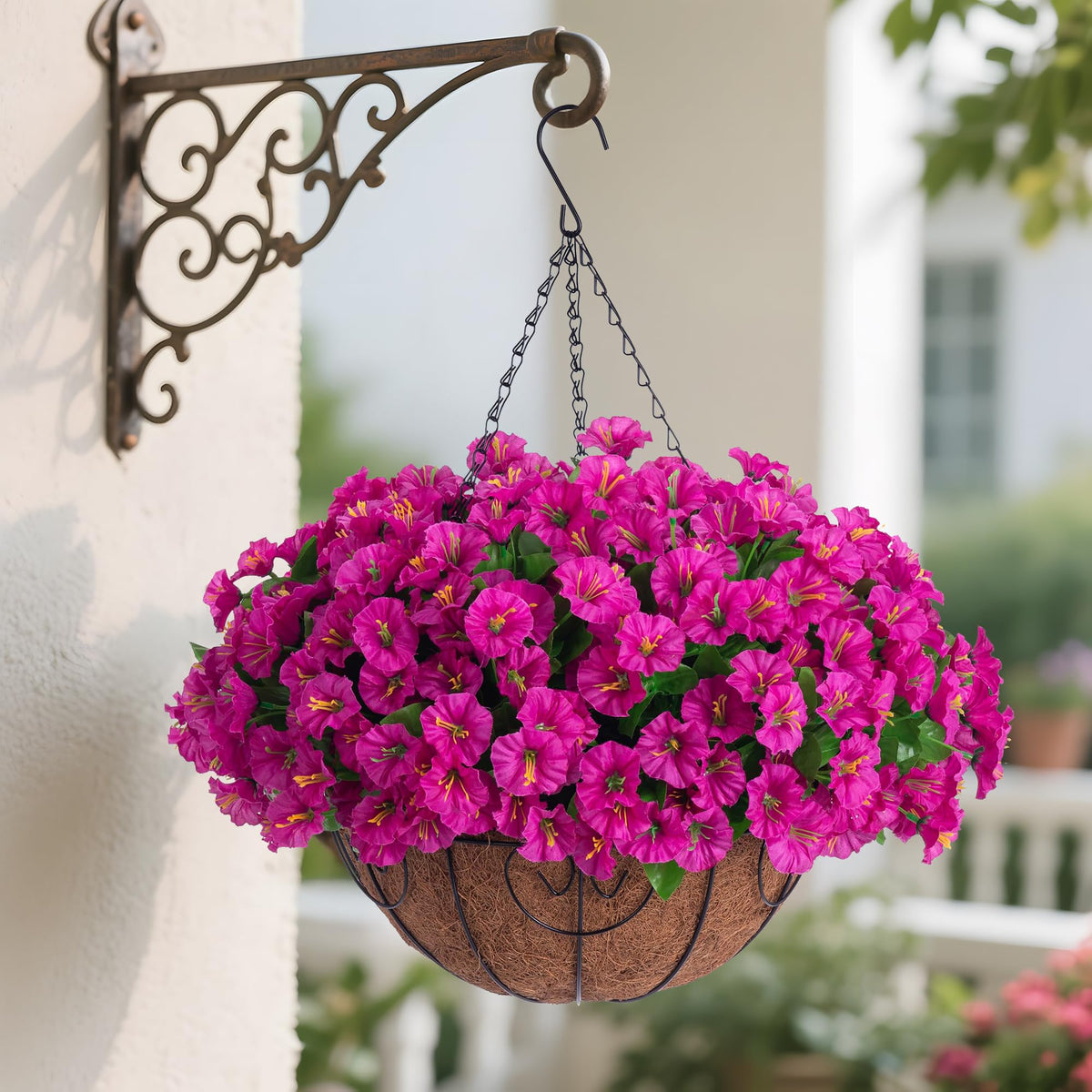 Ammyoo front view hanging basket showing vibrant petunias and instant curb appeal
