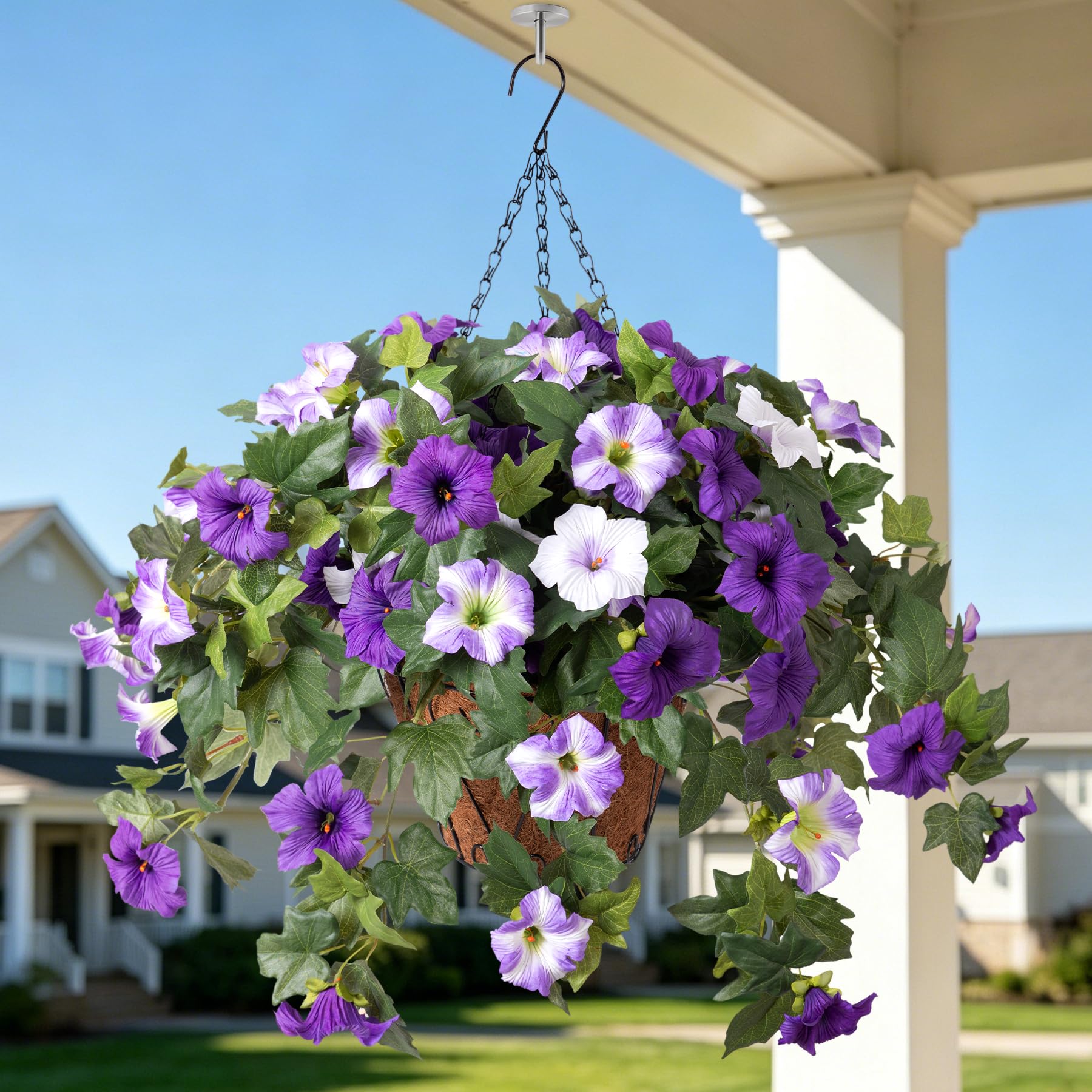 Ammyoo front view hanging basket showing full colorful arrangement and curb appeal