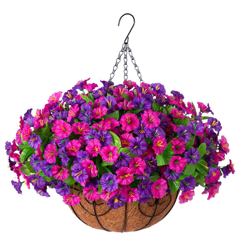 Ammyoo front view of hanging basket showing full floral display and instant curb appeal