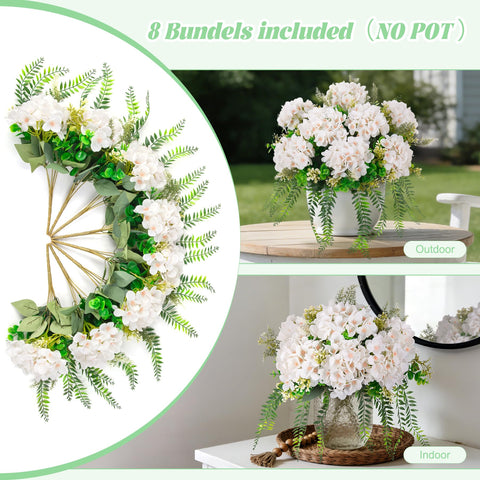 Ammyoo styled on an indoor table showing effortless, low-maintenance beauty