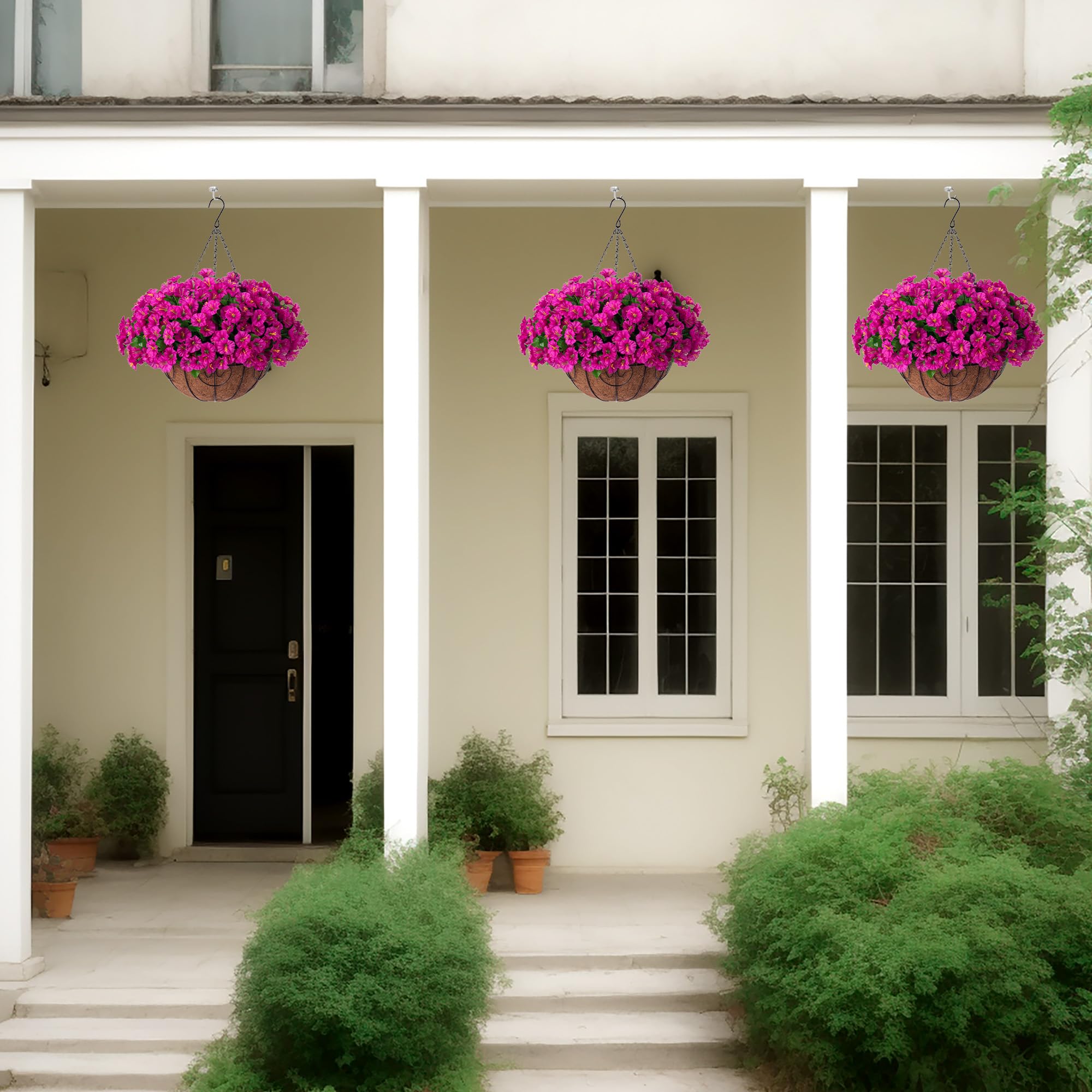 Ammyoo patio lifestyle display showing decorative curb appeal and no watering