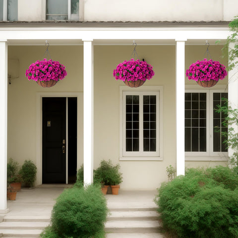 Ammyoo patio lifestyle display showing decorative curb appeal and no watering
