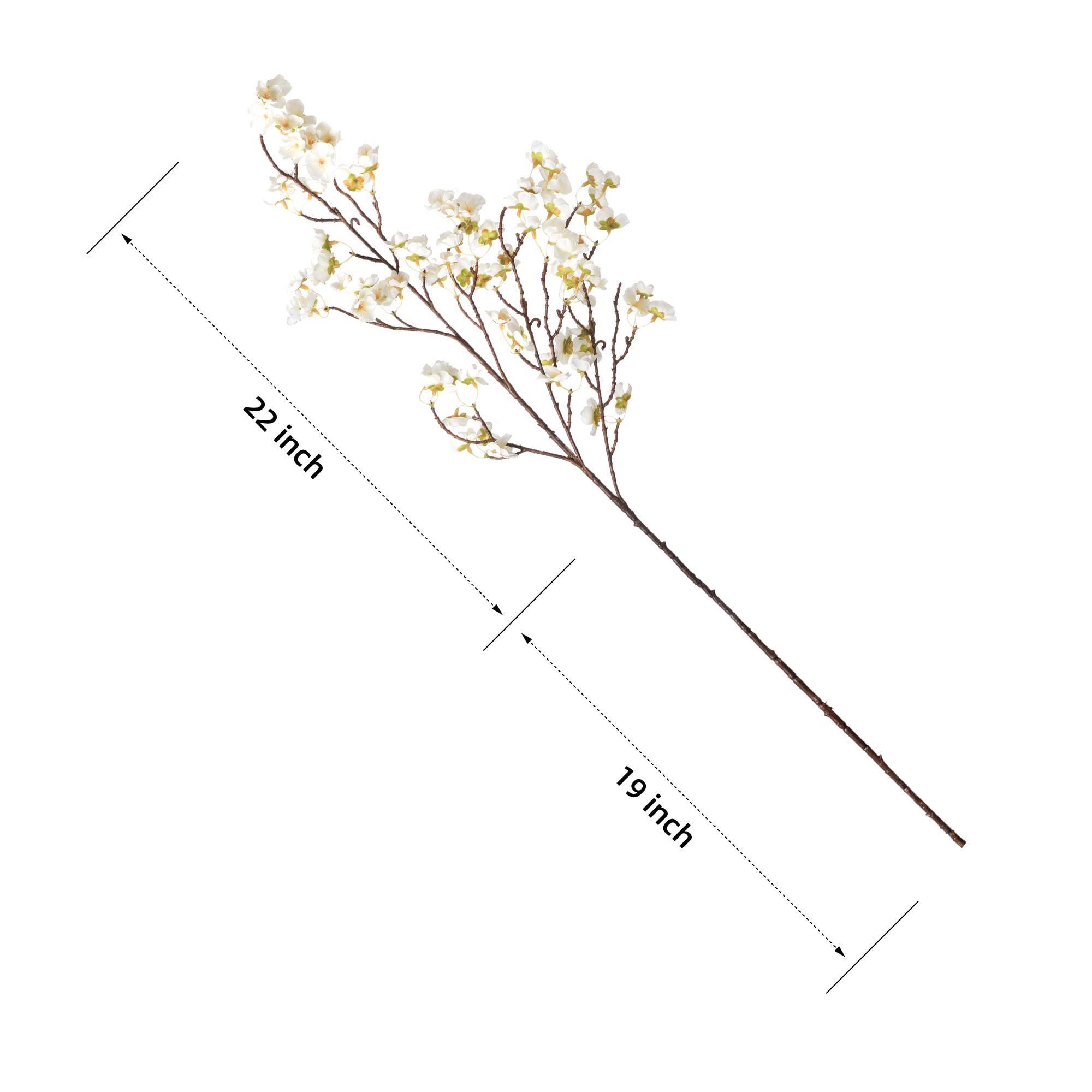 Ammyoo arranged white blossoms in a tall vase creating elegant centerpiece
