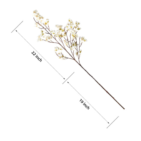 Ammyoo arranged white blossoms in a tall vase creating elegant centerpiece