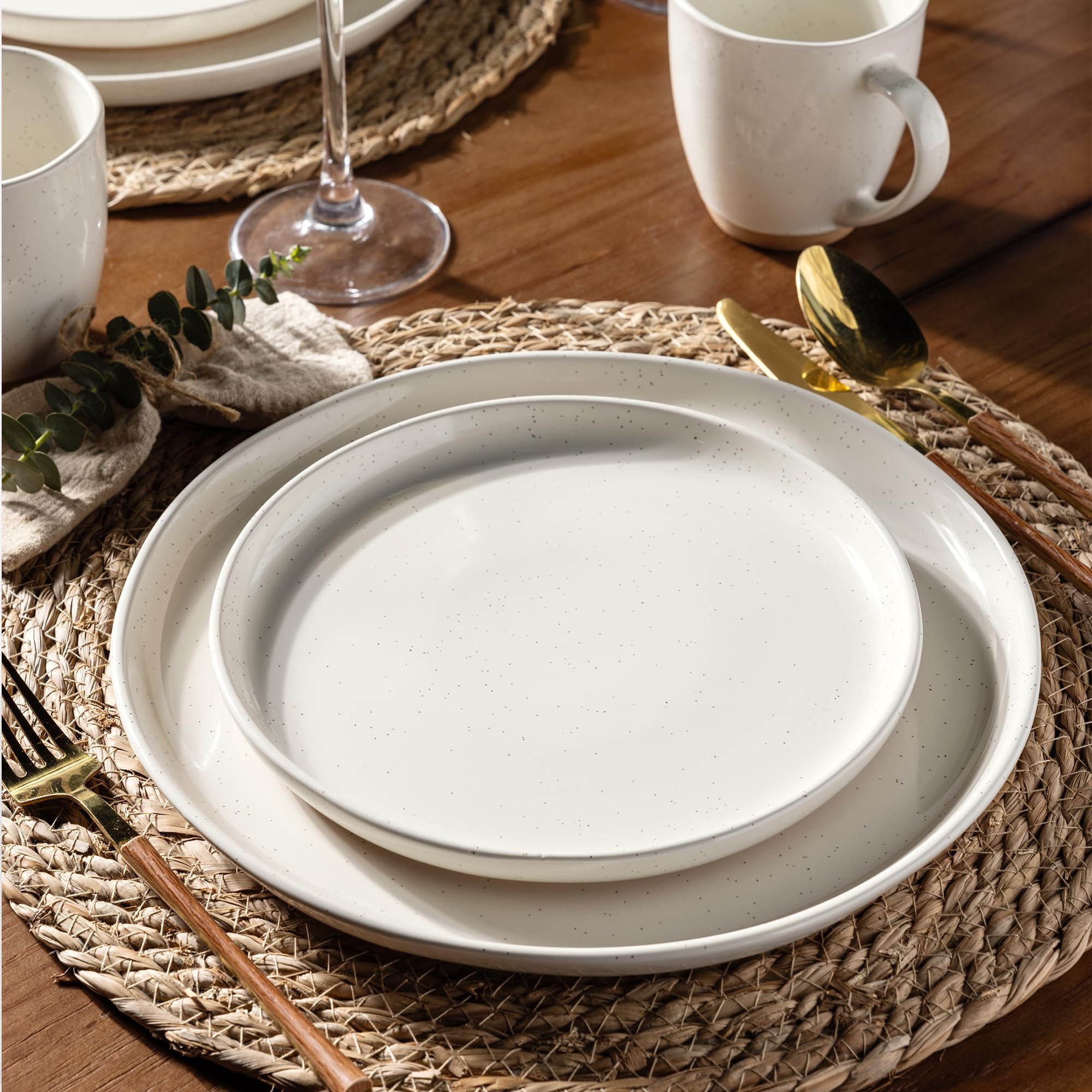 AmorArc 10.5-inch dinner plate flat view demonstrating generous serving surface