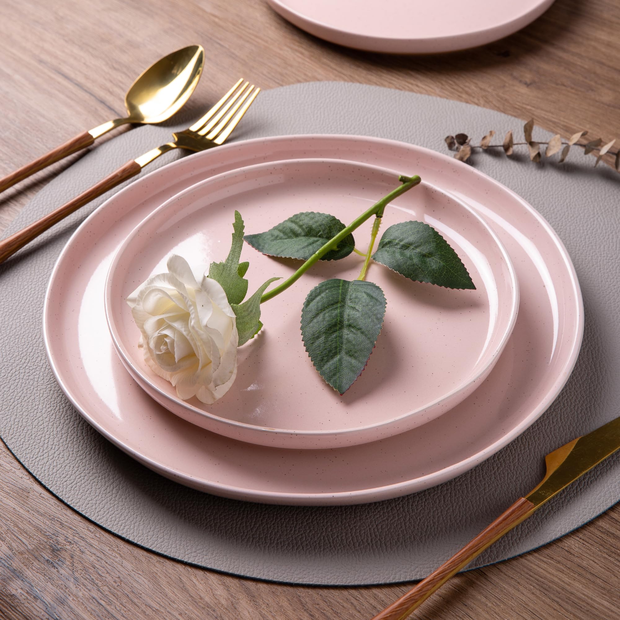 AmorArc close-up of 10.5-inch dinner plate showing speckled glaze durability